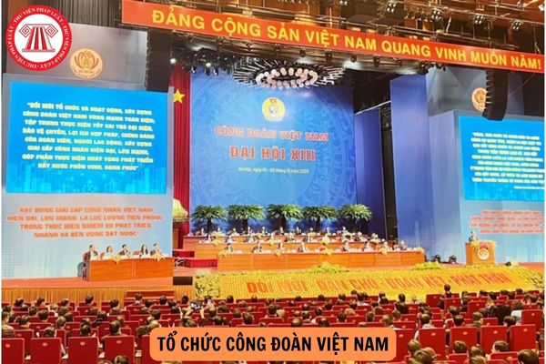 Tổ chức Công đoàn Việt Nam có mấy cấp? Nơi chưa có tổ chức công đoàn, người lao động nộp đơn gia nhập Công đoàn Việt Nam thông qua đâu?