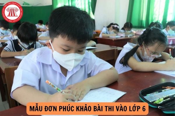 Mẫu đơn phúc khảo bài thi vào lớp 6 năm 2024-2025?