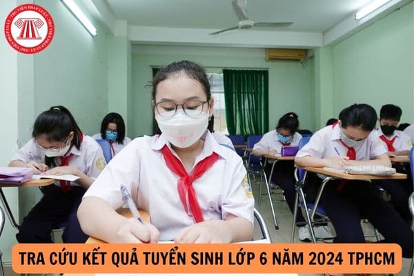 Hướng dẫn Tra cứu kết quả tuyển sinh lớp 6 năm 2024 TPHCM?