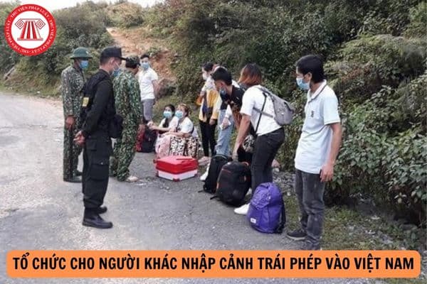 Tổ chức cho người khác nhập cảnh trái phép vào Việt Nam đi tù bao nhiêu năm?