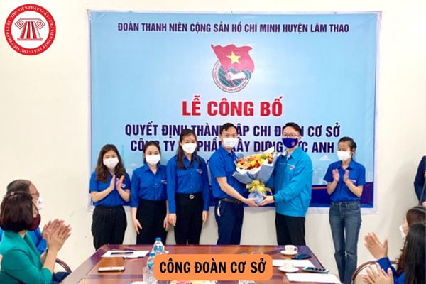 Nhiệm kỳ 2018 - 2023, theo thống kê của Công đoàn Việt Nam đã thành lập mới bao nhiêu công đoàn cơ sở?