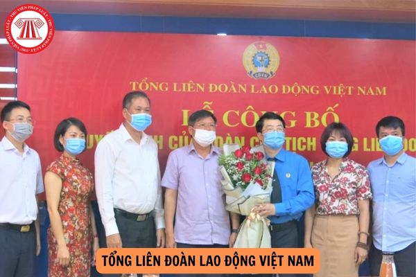 Ban Chấp hành Tổng Liên đoàn Lao động Việt Nam khóa 13, nhiệm kỳ 2023 - 2028 gồm bao nhiêu đồng chí?