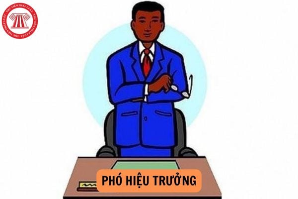 Trường phổ thông nào được bổ nhiệm 3 phó hiệu trưởng từ 01/9/2024?