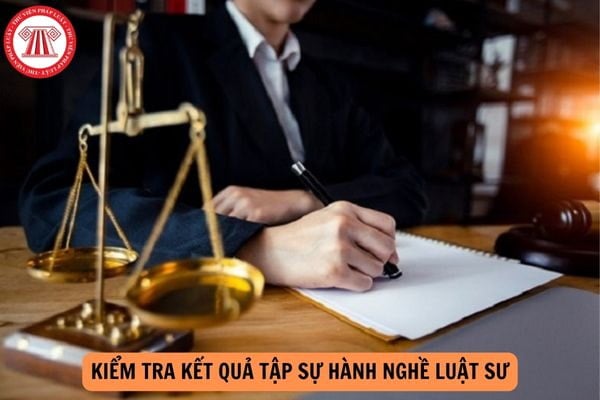 Địa điểm nộp hồ sơ đăng ký kiểm tra kết quả tập sự hành nghề luật sư đợt 2/2024 là ở đâu?