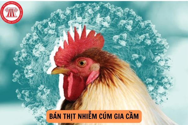 Bán thịt nhiễm cúm gia cầm sẽ bị xử phạt vi phạm hành chính thế nào?