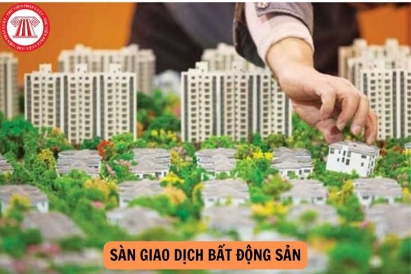 Điều kiện hoạt động của sàn giao dịch bất động sản từ 01/8/2024 là gì?