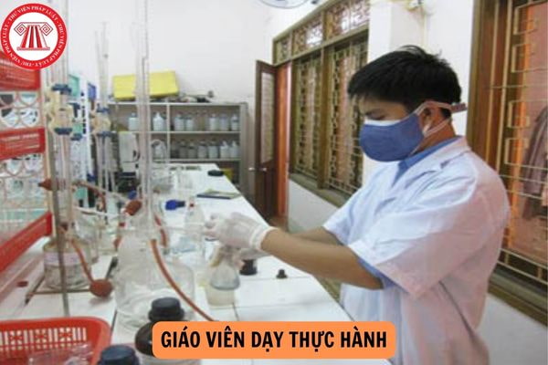 Mức phụ cấp độc hại của giáo viên dạy thực hành từ ngày 01/7/2024?