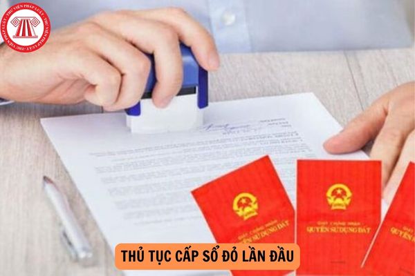 Thủ tục cấp Sổ đỏ lần đầu từ 01/8/2024 được thực hiện như thế nào?