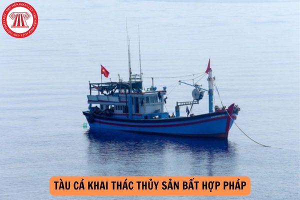 Cá nhân để tàu cá khai thác thủy sản bất hợp pháp bốc dỡ tại cảng cá sẽ bị xử phạt bao nhiêu tiền?