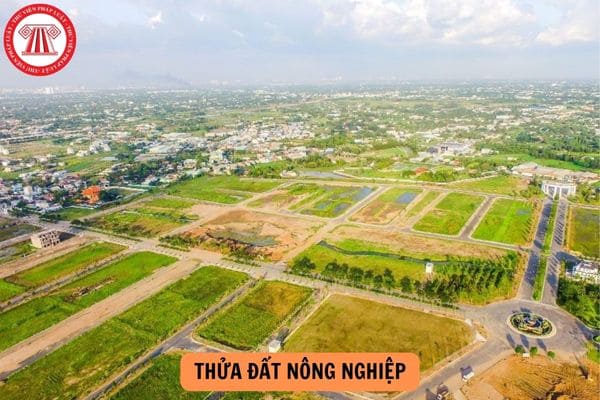 Điều kiện để nhiều thửa đất nông nghiệp được cấp 01 sổ đỏ là gì?