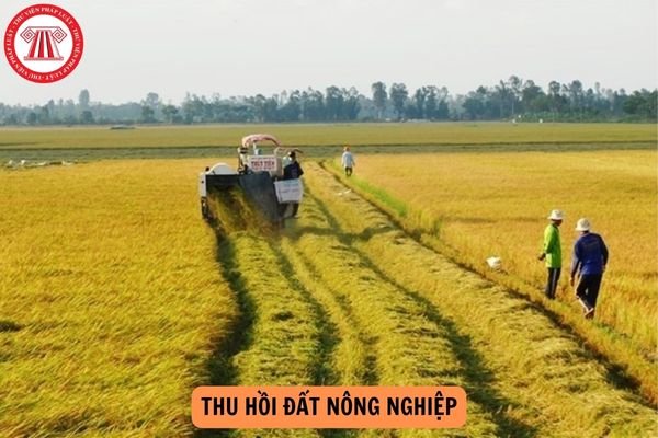 Thu hồi đất nông nghiệp được hỗ trợ ổn định sản xuất, kinh doanh theo Nghị định 88 như thế nào?