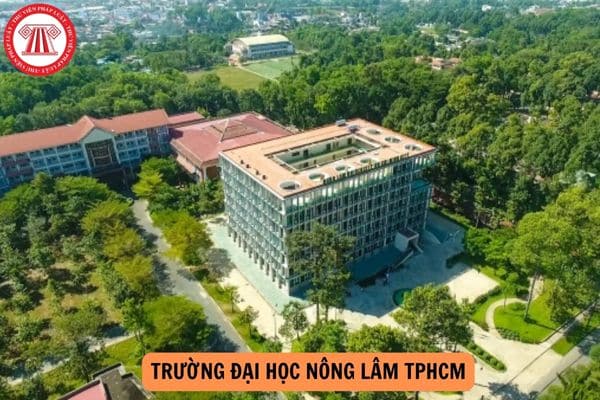 Đại học Nông Lâm TPHCM điểm chuẩn 2024 mới nhất?