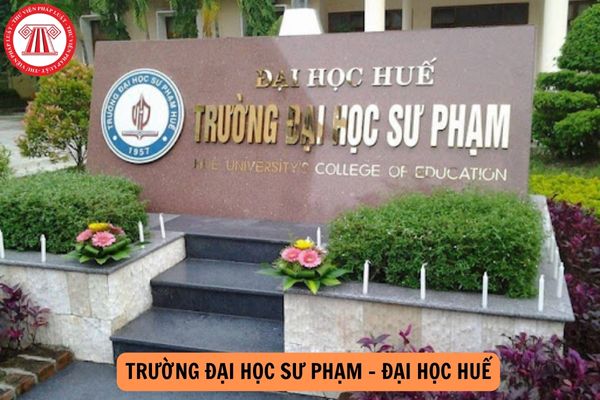 Điểm chuẩn Đại học Sư phạm - Đại học Huế 2024 là bao nhiêu?