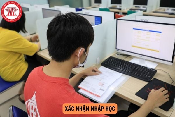 Hướng dẫn cách xác nhận nhập học trên hệ thống của Bộ 2024?