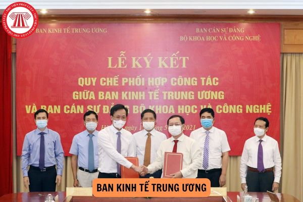 Ban Kinh tế Trung ương là cơ quan gì? Ban Kinh tế Trung ương làm việc theo chế độ gì?