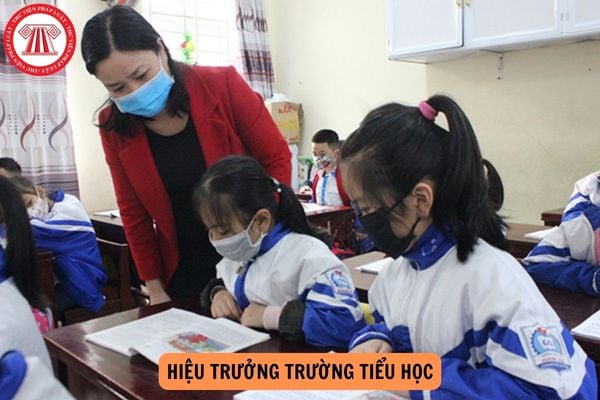 Điều kiện để trở thành Hiệu trưởng Trường tiểu học là gì?