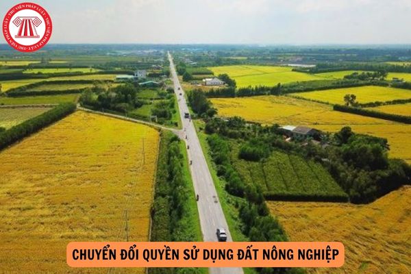 Đăng ký biến động đất đai khi chuyển đổi quyền sử dụng đất nông nghiệp theo Nghị định 101 mất bao lâu?