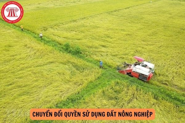 Hồ sơ chuyển đổi quyền sử dụng đất nông nghiệp từ 01/8/2024 theo Nghị định 101?