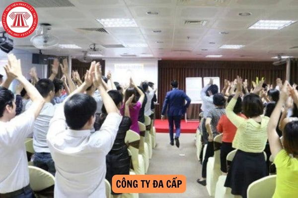 Công ty đa cấp được cấp phép ở Việt Nam 2024 khi nào?