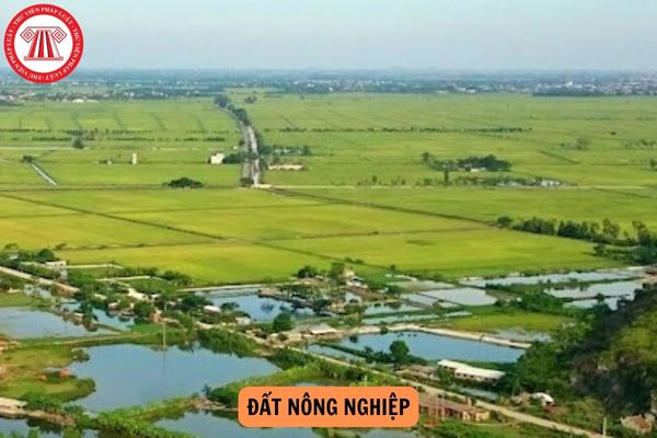 Trường hợp cá nhân đang sử dụng diện tích đất nông nghiệp được giao trước ngày 01/7/2014 nhưng vượt hạn mức giao đất tại thời điểm giao?