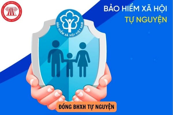 Đóng BHXH tự nguyện bao lâu thì được hưởng chế độ thai sản?