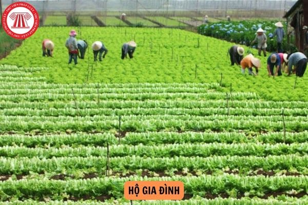 Trường hợp duy nhất hộ gia đình được cấp đổi sổ đỏ mới từ 01/8/2024?