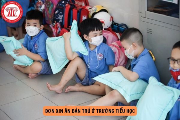 Mẫu đơn xin ăn bán trú ở trường tiểu học cập nhật mới nhất năm 2024?