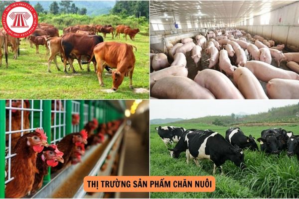 Mức hỗ trợ phát triển thị trường sản phẩm chăn nuôi từ ngày 20/9/2024?