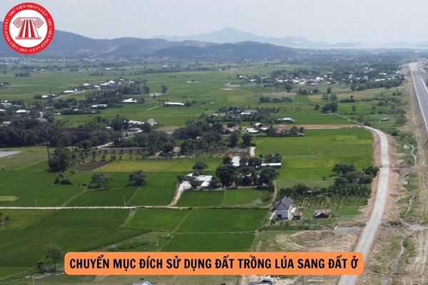 Điều kiện chuyển đổi đất trồng lúa sang đất ở từ 01/8/2024 là gì?