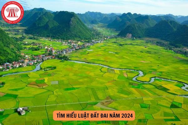 Kết quả tuần 2 Cuộc thi trực tuyến Tìm hiểu Luật Đất đai năm 2024 trên Trang Thông tin điện tử tổng hợp Báo cáo viên?