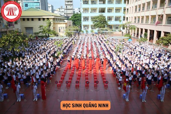 Lịch đi học trở lại của học sinh Quảng Ninh sau siêu bão Yagi (Bão số 3)?