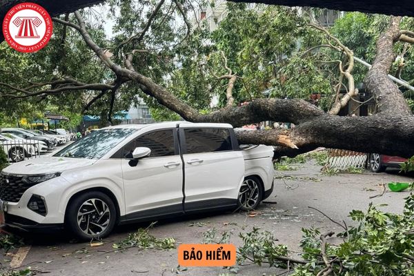 Trường hợp xe ô tô bị thiệt hại do thiên tai có được công ty bảo hiểm bồi thường không?