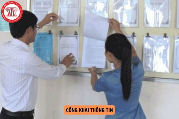 Theo Luật Thực hiện dân chủ ở cơ sở, trừ các thông tin thuộc bí mật nhà nước, bí mật công tác hoặc thông tin chưa được công khai theo quy định, người đứng đầu cơ quan, đơn vị phải công khai trong nội bộ cơ quan, đơn vị nội dung nào?