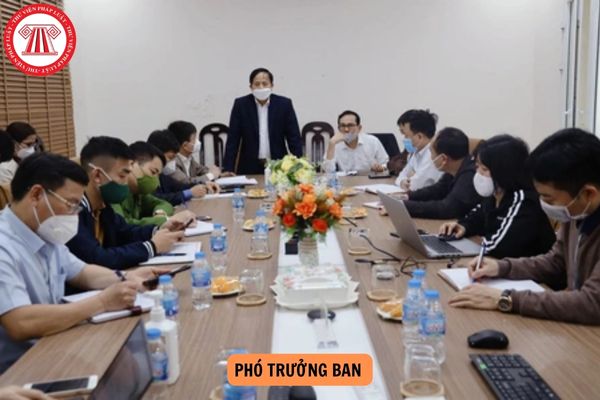 Theo Nghị định 59/2023/NĐ-CP, trường hợp số lượng thành viên Ban Thanh tra nhân dân từ 09 người trở lên thì số lượng Phó Trưởng ban không quá bao nhiêu người?