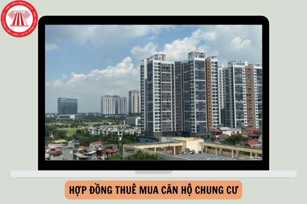 Mẫu Hợp đồng thuê mua căn hộ chung cư từ 01/8/2024 theo Nghị định 96?