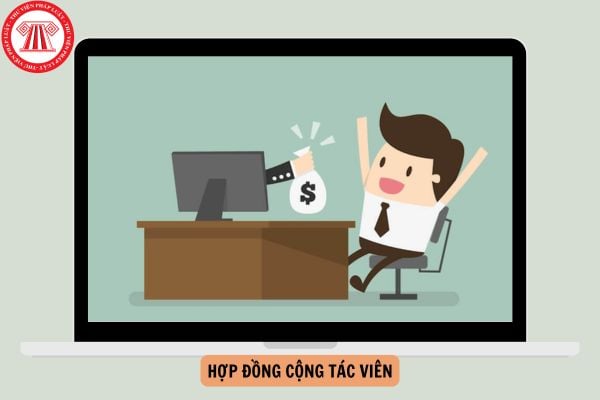 Hợp đồng Cộng tác viên được coi là hợp đồng lao động khi nào?