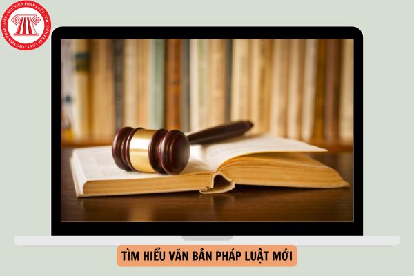 Bộ câu hỏi cuộc thi trực tuyến “tìm hiểu văn bản pháp luật mới” năm 2024?