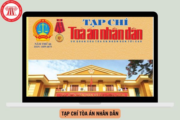 Cơ cấu tổ chức của Tạp chí Tòa án nhân dân cập nhật mới nhất năm 2024?