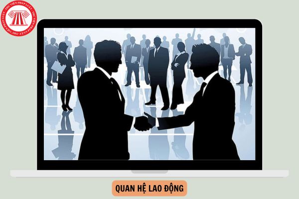 Các hành vi bị nghiêm cấm trong quan hệ lao động gồm những hành vi nào?