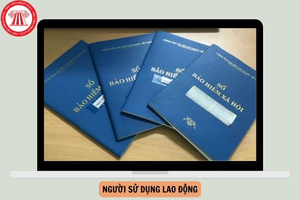 Theo quy định của Luật Bảo hiểm xã hội 2024, người sử dụng lao động có quyền nào?