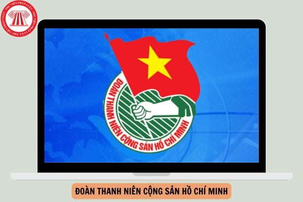 Đoàn Thanh niên Cộng sản Hồ Chí Minh tổ chức và hoạt động theo nguyên tắc nào?