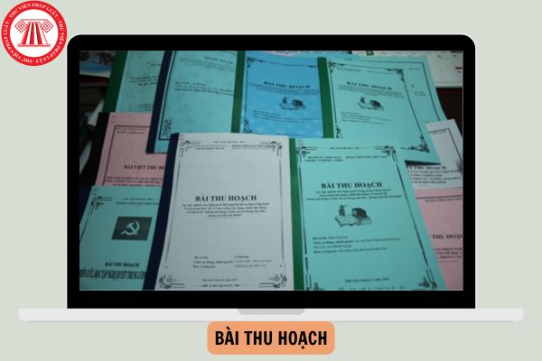 Mẫu bìa bài thu hoạch file Word của Đảng Viên mới nhất năm 2024?