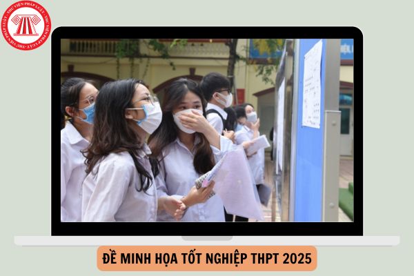 Đề minh họa tốt nghiệp THPT 2025 môn Anh chi tiết, đầy đủ?