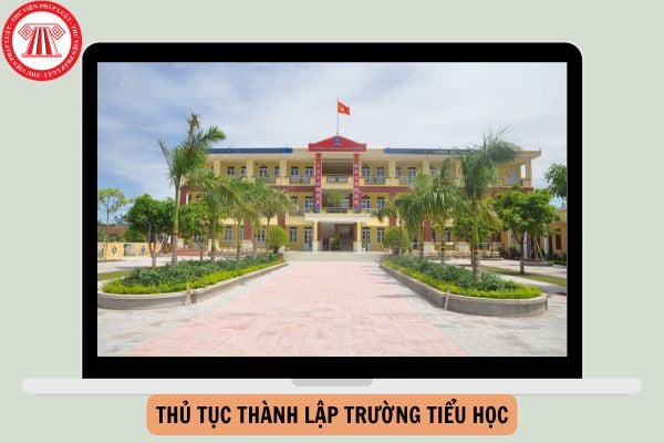 Thủ tục thành lập trường tiểu học mới nhất từ ngày 20/11/2024?