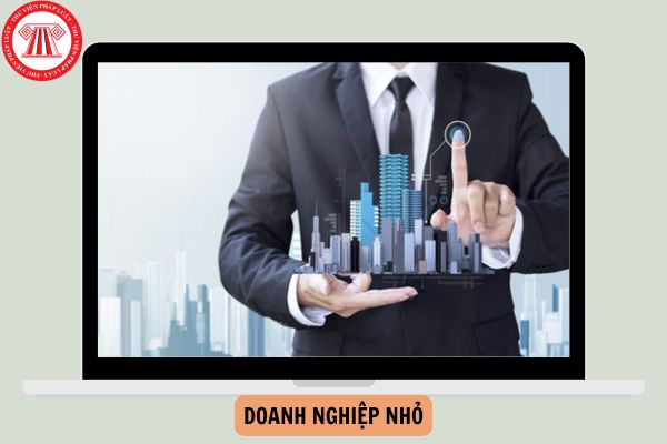 Doanh nghiệp nhỏ là gì? Một số thuận lợi và khó khăn của doanh nghiệp nhỏ là gì?