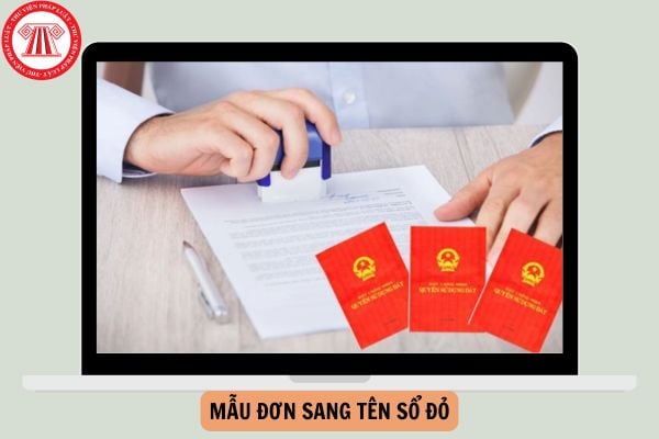 Mẫu Đơn sang tên Sổ đỏ mới nhất năm 2024? 