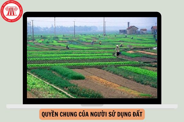 Quyền chung của người sử dụng đất gồm những quyền gì?