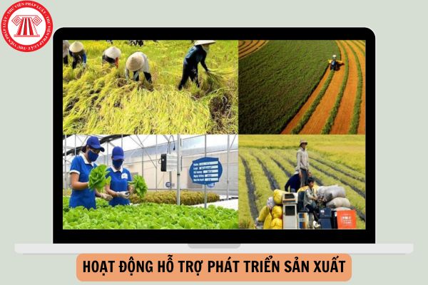 Hoạt động hỗ trợ phát triển sản xuất theo Nghị định 27 gồm những hoạt động gì?