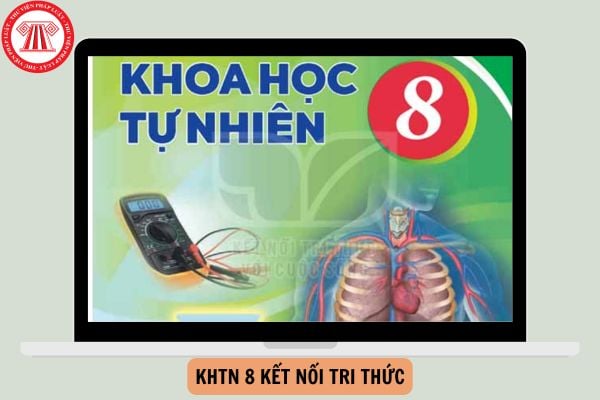 Đề thi giữa kì 1 KHTN 8 Kết nối tri thức có đáp án năm 2024-2025?