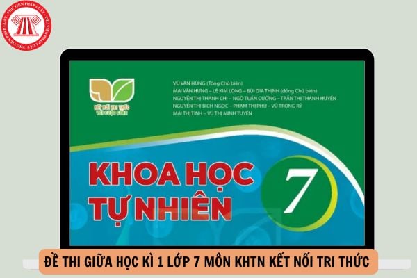 Đề thi giữa học kì 1 lớp 7 môn KHTN Kết nối tri thức có đáp án tham khảo năm 2024-2025?